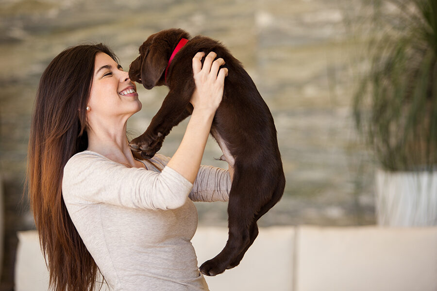 10 Things You Need to Buy When You Welcome Home a New Puppy