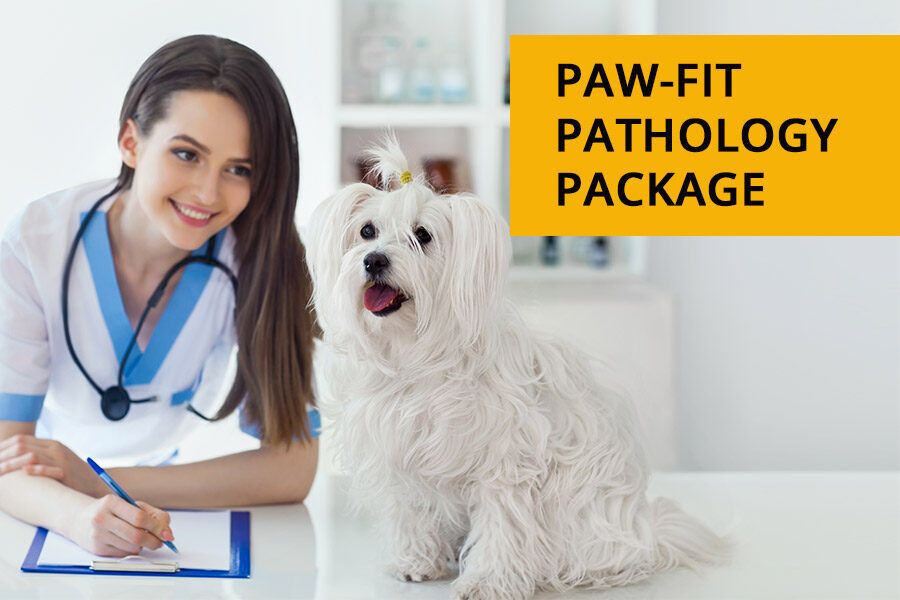 Paw-Fit Pathology Package: Keeping your pet healthy on the inside