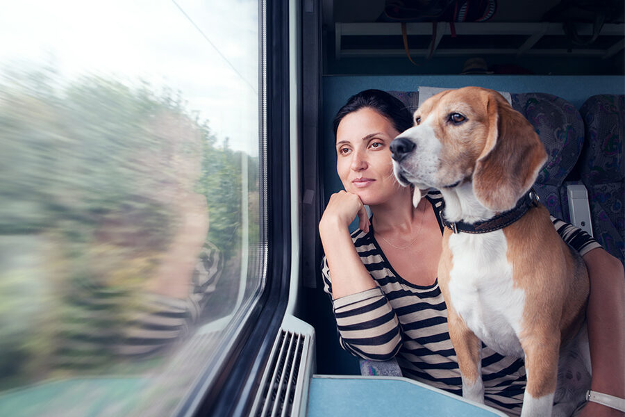 Journey to Mysore Part 1: My pet’s first train journey, from Mumbai to Bangalore