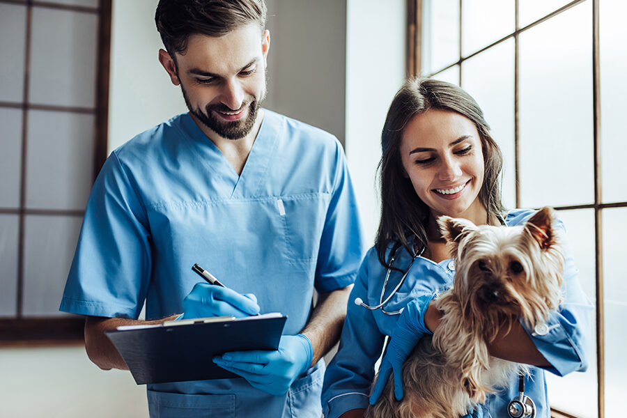 Benefits of Regular Veterinary Care for Your Pets