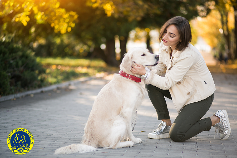 Canine Good Citizen Test