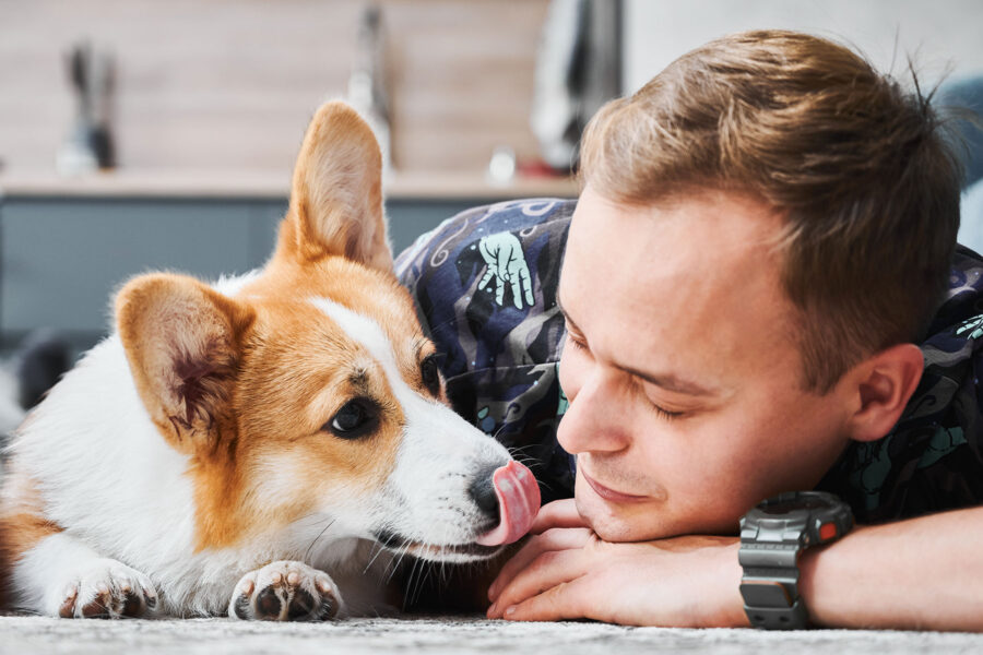 How Can Pets Improve Your Mental Health?